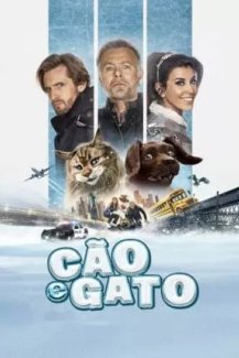 Cão e Gato