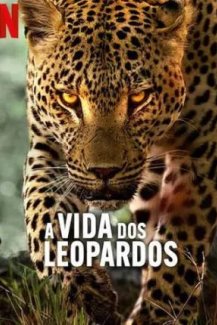 A Vida dos Leopardos
